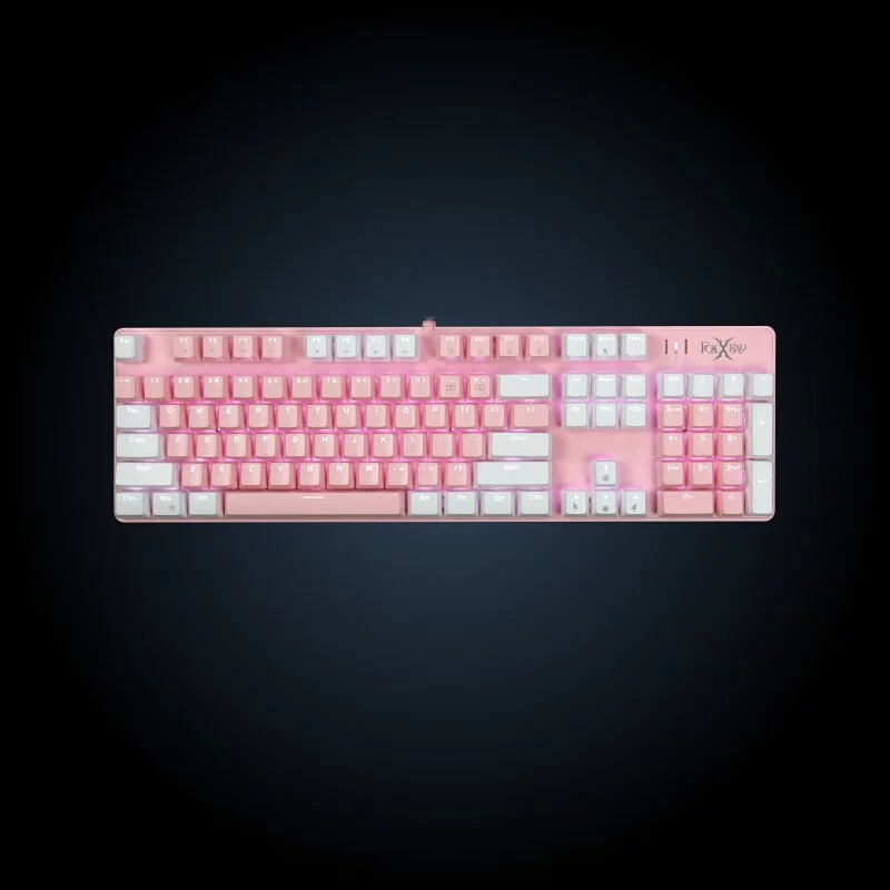 800x (5)
