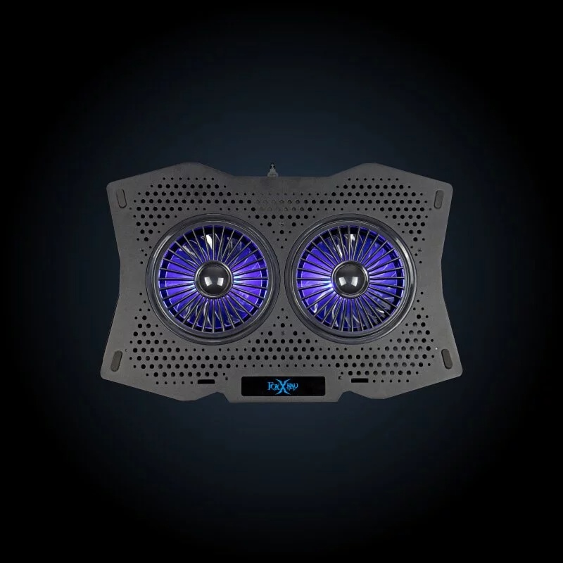 800x (5)